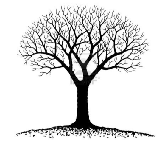 TAFRealty.managebuilding.com